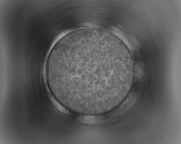 X0000087061098200705161007