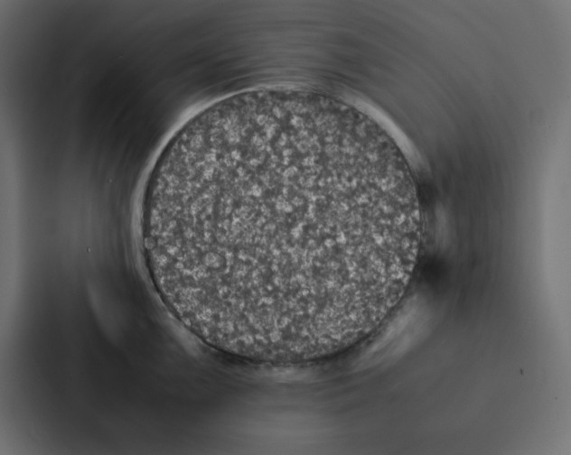 X0000087061099200705161007