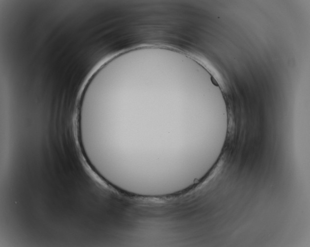 X0000087061100200705161007