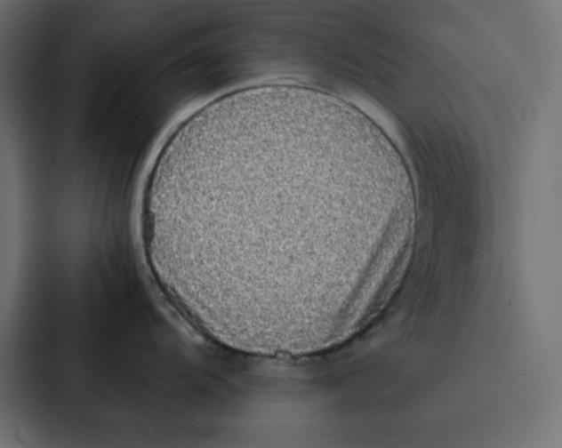 X0000087061104200705161007