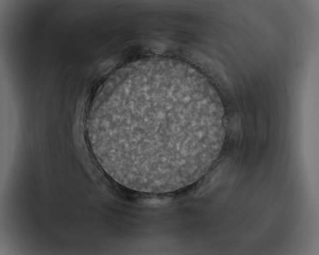 X0000087061105200705161006