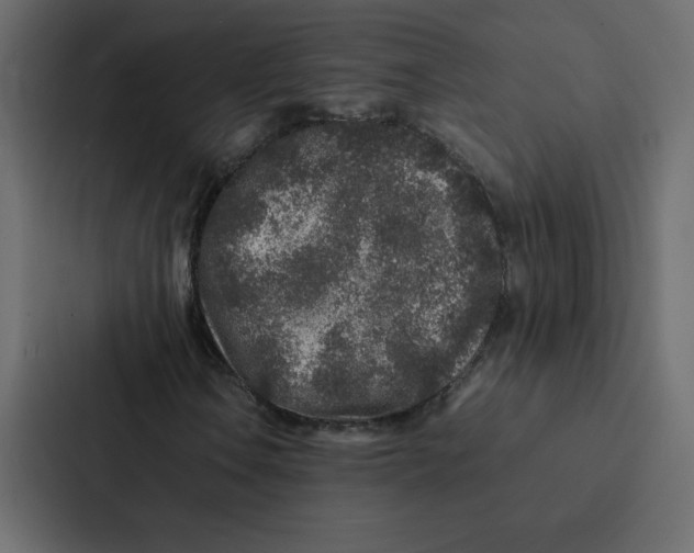 X0000087061106200705161006