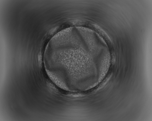 X0000087061108200705161006