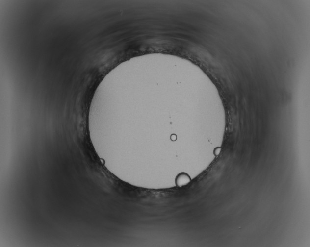 X0000087061109200705161006