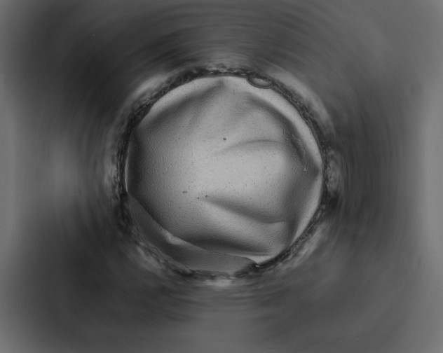 X0000087061112200705161006