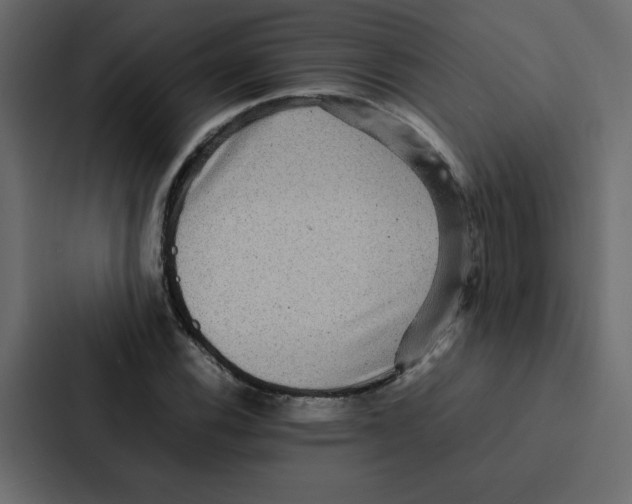 X0000087061116200705161006