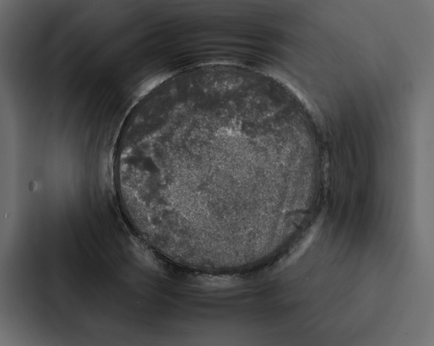 X0000087061121200705161006