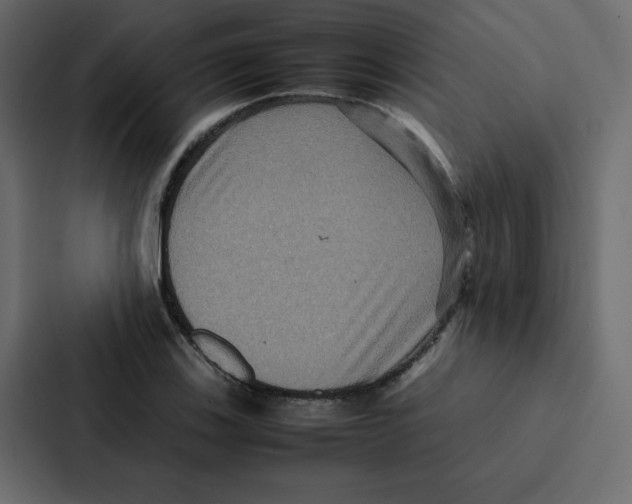 X0000087061123200705161006