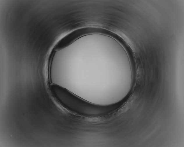 X0000087061128200705161006