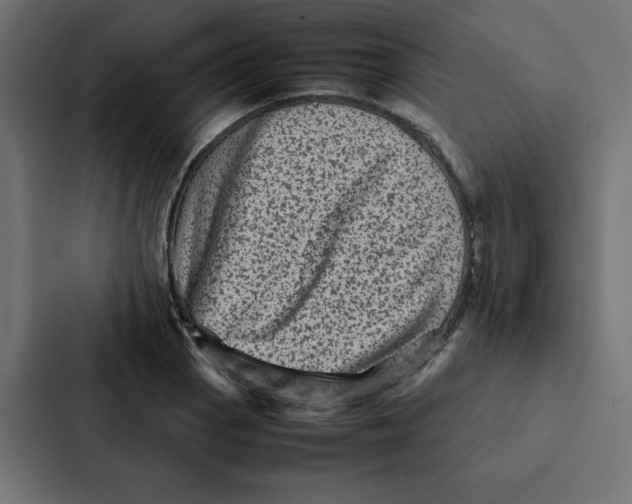 X0000087061129200705161006