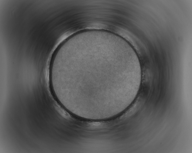 X0000087061130200705161006