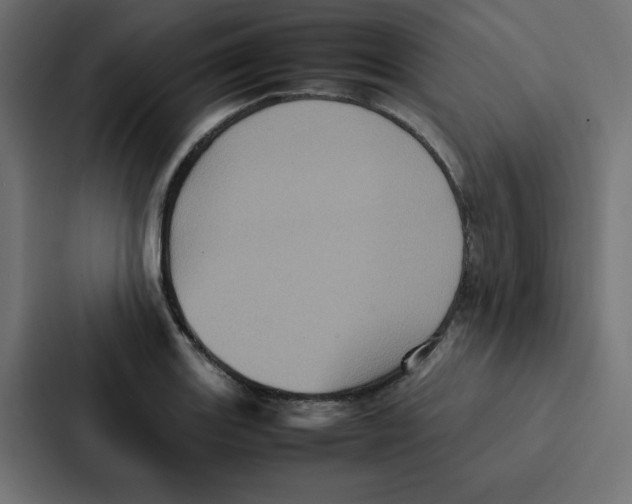 X0000087061131200705161006