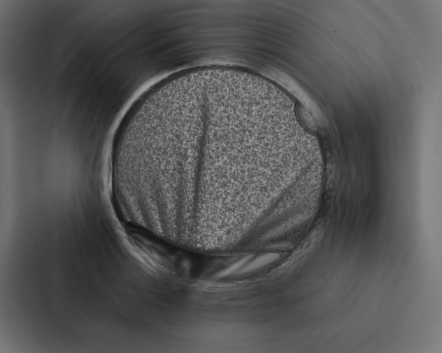 X0000087061132200705161006