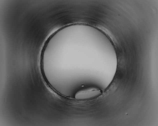 X0000087061135200705161006