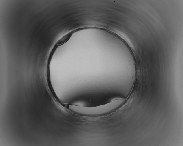 X0000087061136200705161006