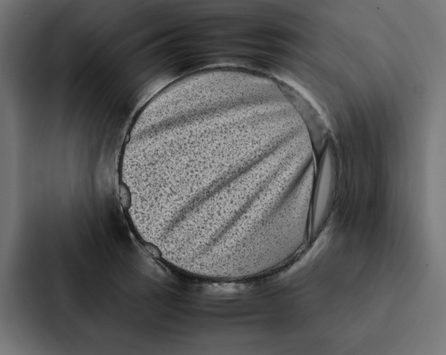 X0000087061137200705161006