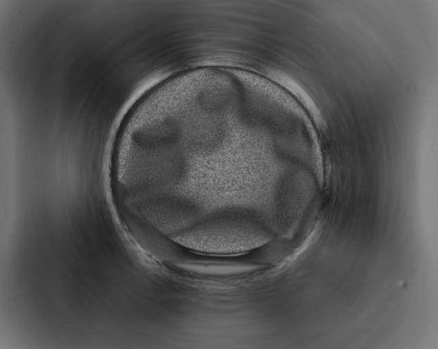 X0000087061138200705161006