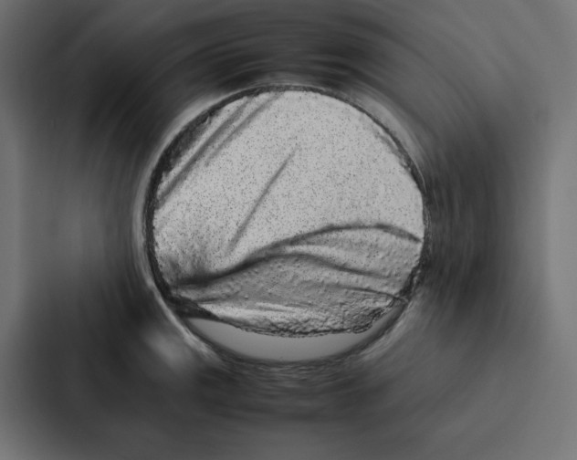 X0000087061141200705161006