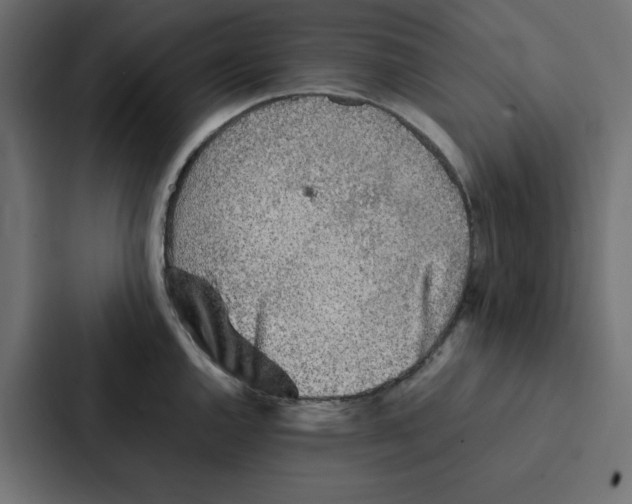 X0000087061144200705161006