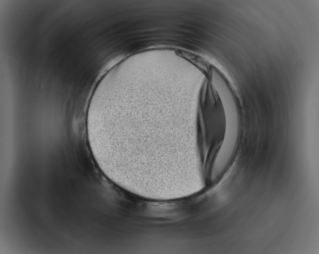 X0000087061145200705161006