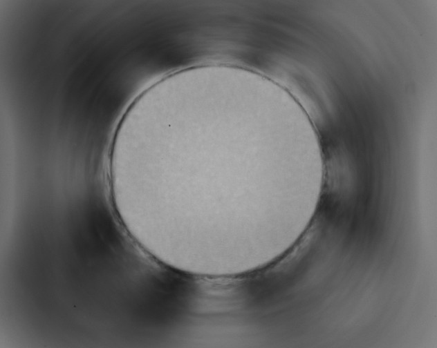 X0000087061150200705161006