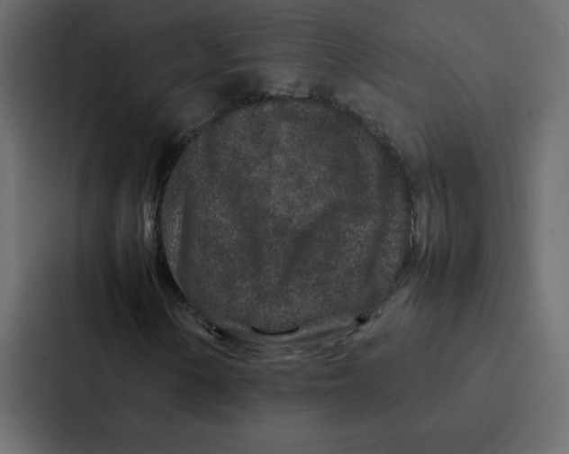 X0000087061154200705161006