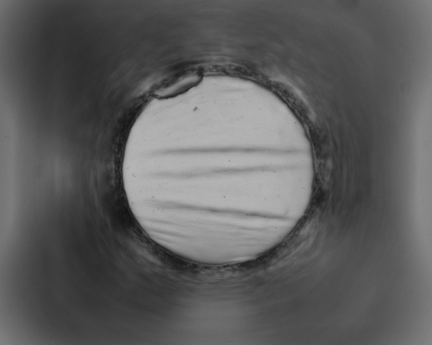 X0000087061159200705161006