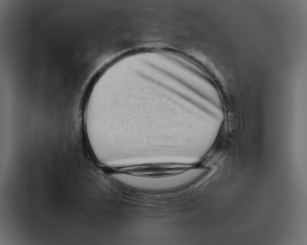 X0000087061167200705161006