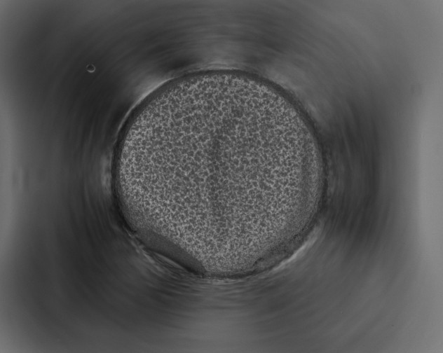 X0000087061170200705161006