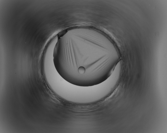 X0000087061171200705161006