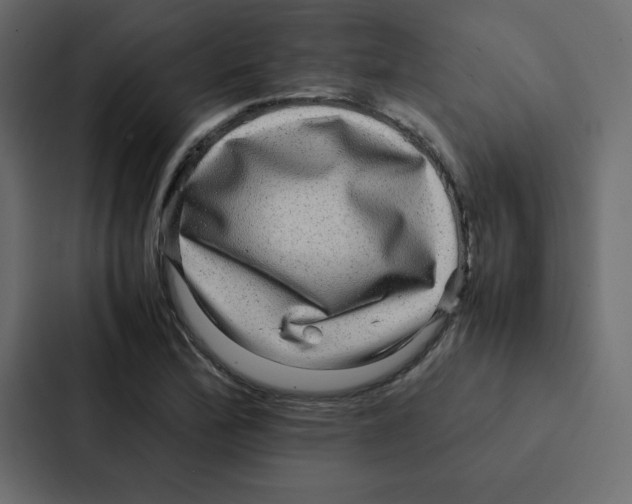 X0000087061172200705161006