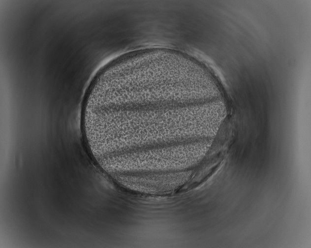 X0000087061174200705161006