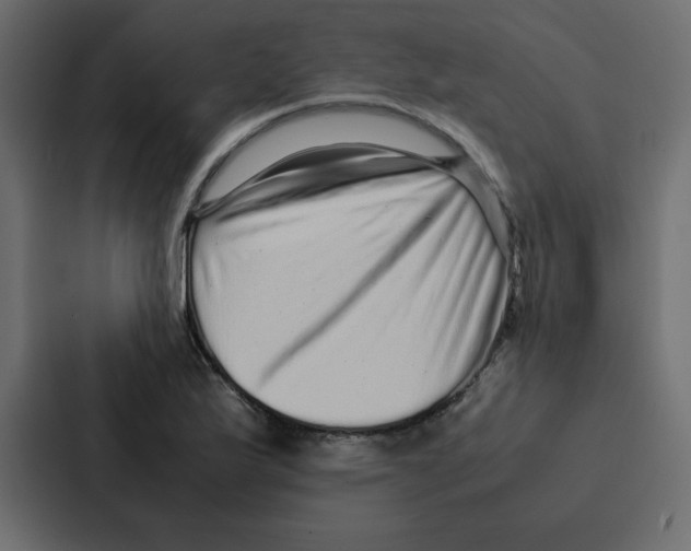 X0000087061175200705161006