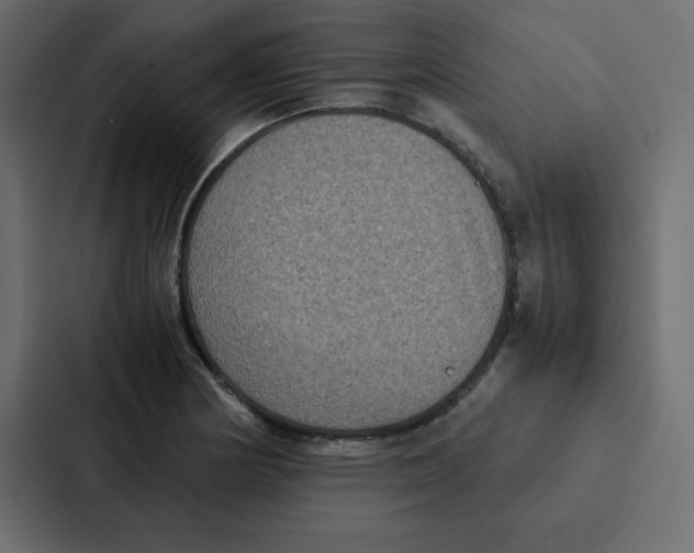 X0000087061178200705161006