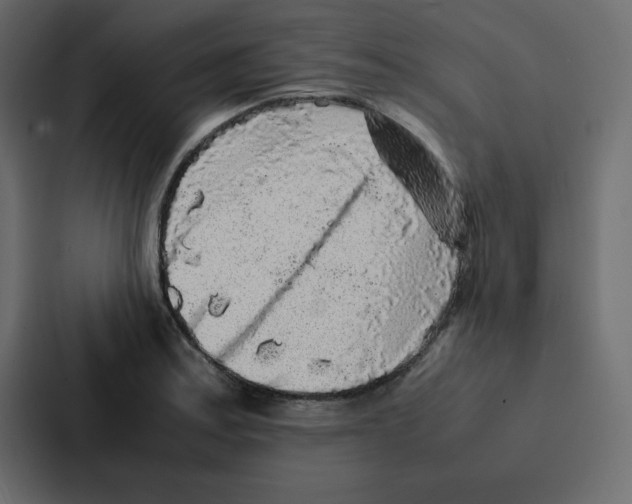 X0000087061179200705161005