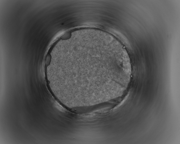 X0000087061180200705161005