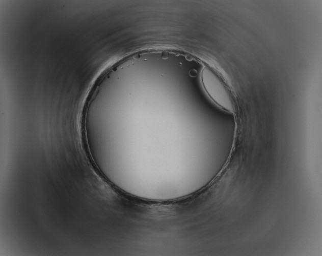 X0000087061181200705161005