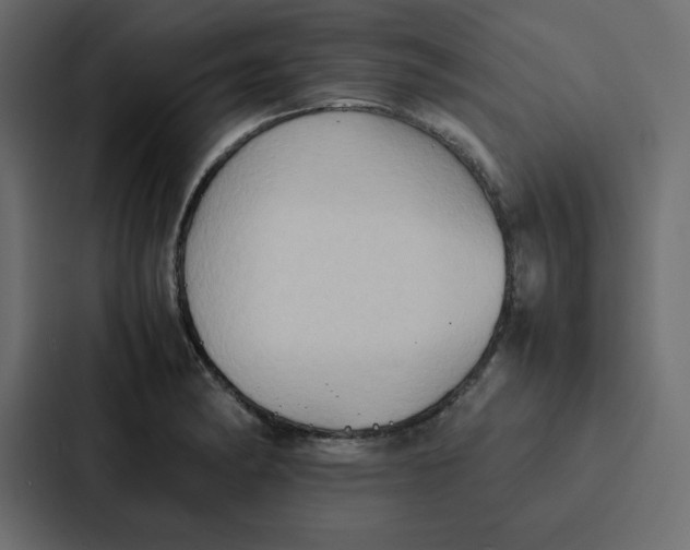 X0000087061182200705161005