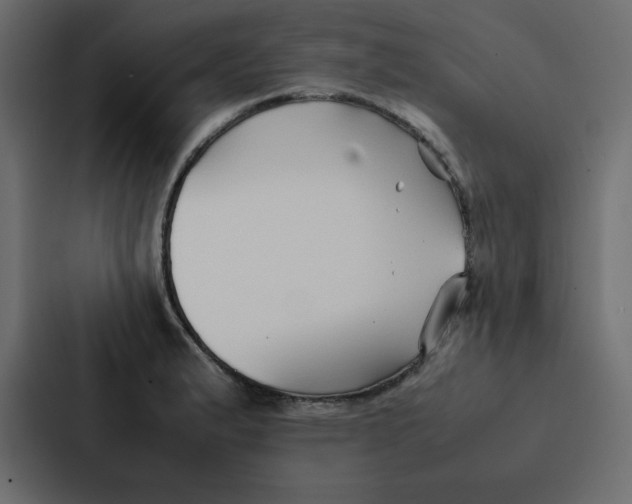 X0000087061183200705161005