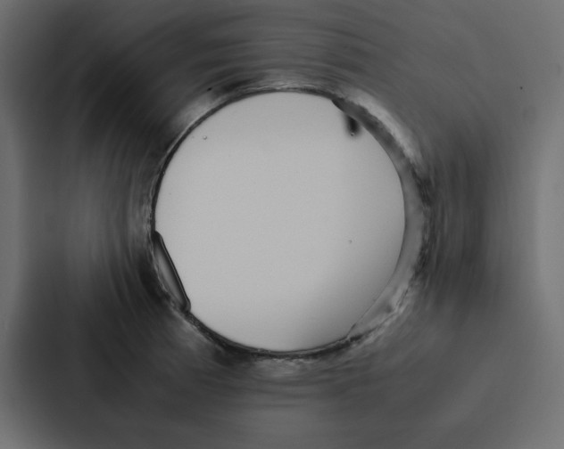 X0000087061185200705161005