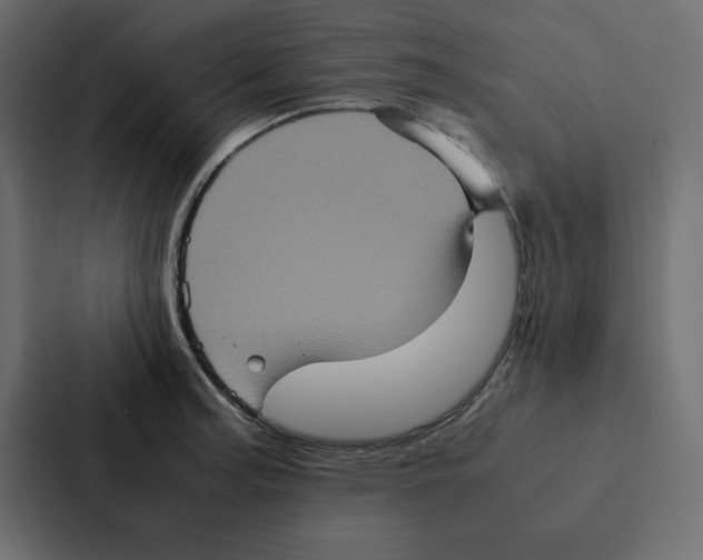 X0000087061187200705161005