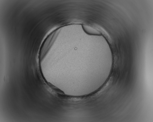 X0000087061190200705161005