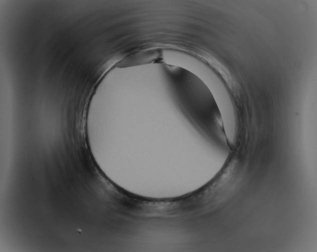 X0000087061193200705161005