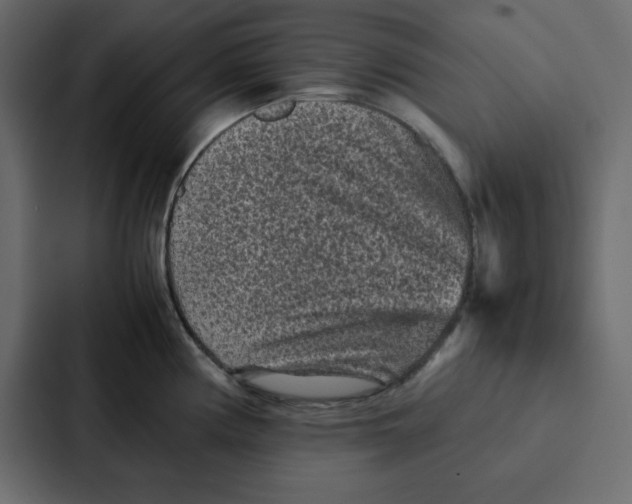 X0000087061194200705161005