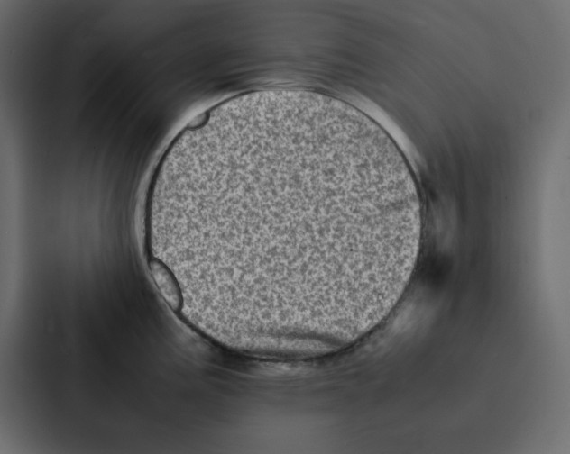 X0000087061195200705161005