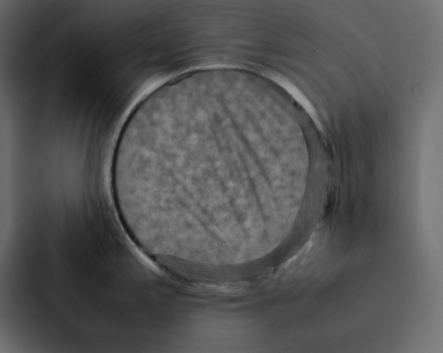 X0000087061197200705161005