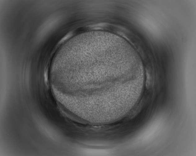 X0000087061198200705161005