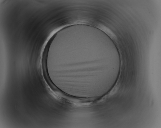 X0000087061200200705161005