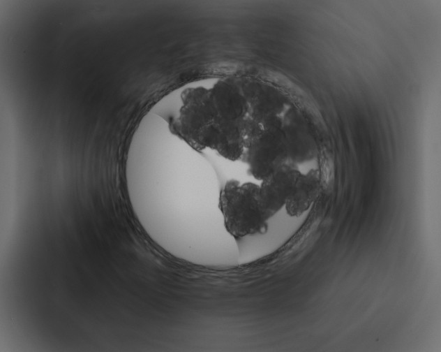 X0000087061204200705161005