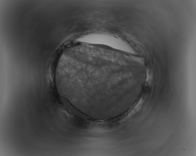 X0000087061206200705161005